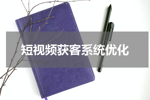 短视频获客系统优化