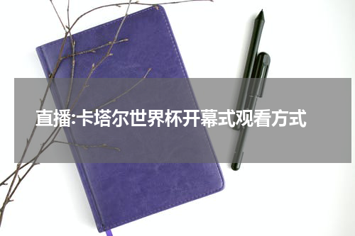 直播:卡塔尔世界杯开幕式观看方式