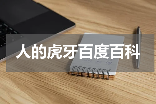 人的虎牙百度百科