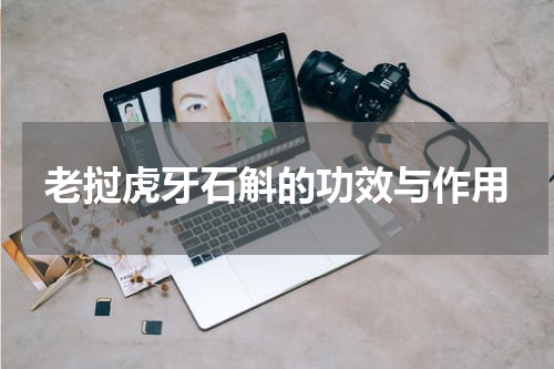 老挝虎牙石斛的功效与作用