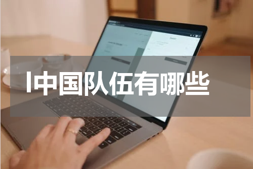 l中国队伍有哪些
