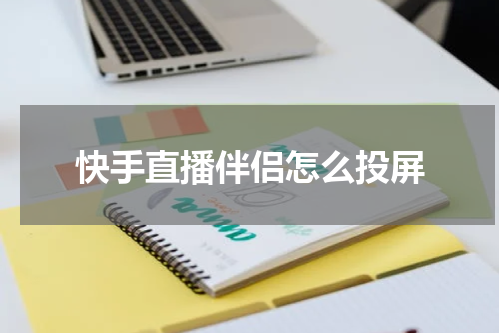 快手直播伴侣怎么投屏