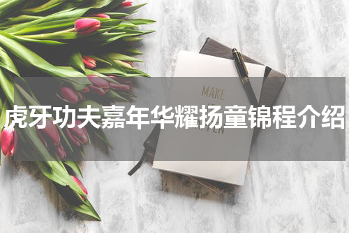 虎牙功夫嘉年华耀扬童锦程介绍