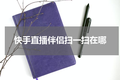 快手直播伴侣扫一扫在哪