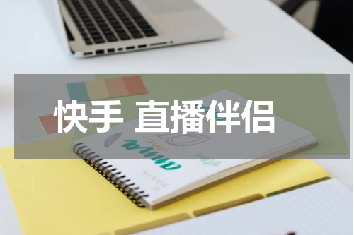 快手 直播伴侣