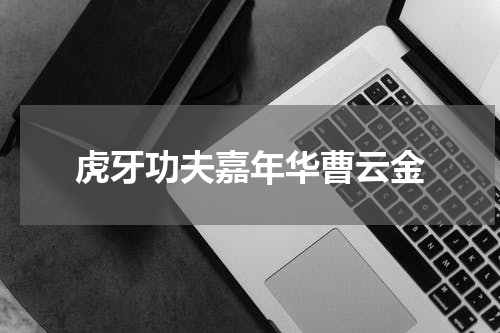 虎牙功夫嘉年华曹云金