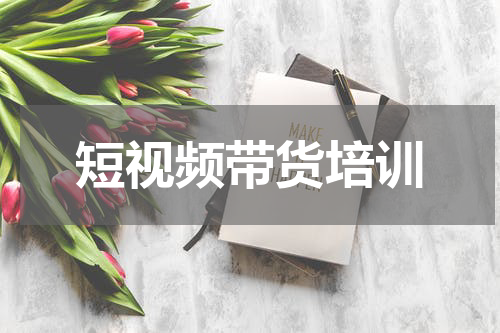 短视频带货培训