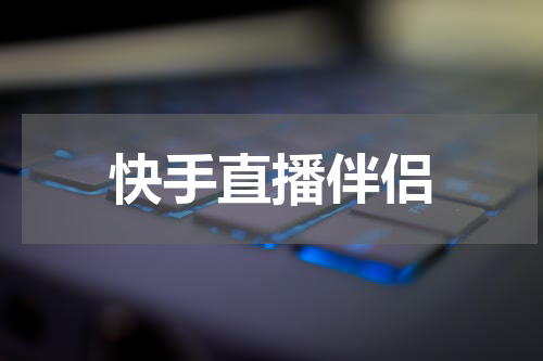 快手直播伴侣