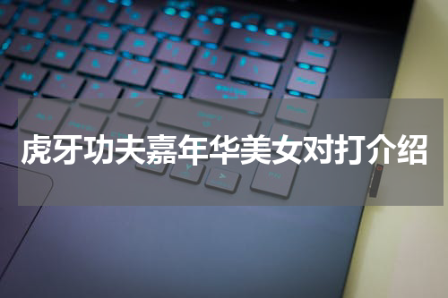 虎牙功夫嘉年华美女对打介绍