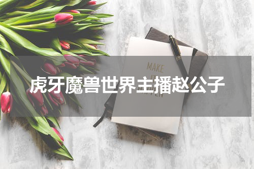 虎牙魔兽世界主播赵公子