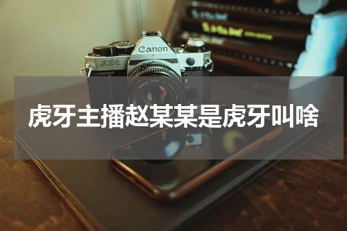 虎牙主播赵某某是虎牙叫啥