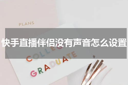 快手直播伴侣没有声音怎么设置