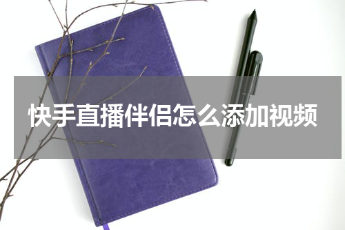 快手直播伴侣怎么添加视频