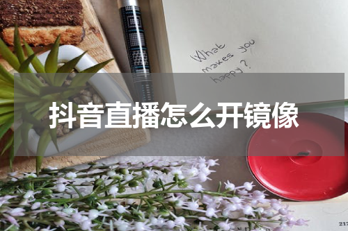抖音直播怎么开镜像