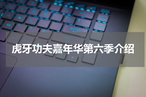虎牙功夫嘉年华第六季介绍