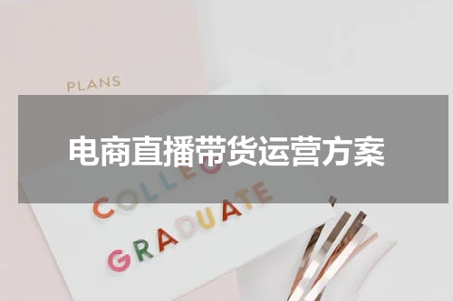 电商直播带货运营方案