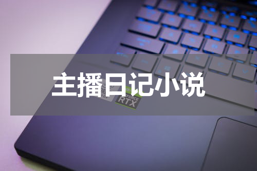 主播日记小说