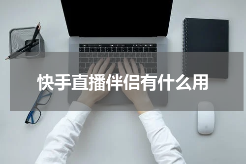 快手直播伴侣有什么用