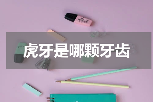 虎牙是哪颗牙齿