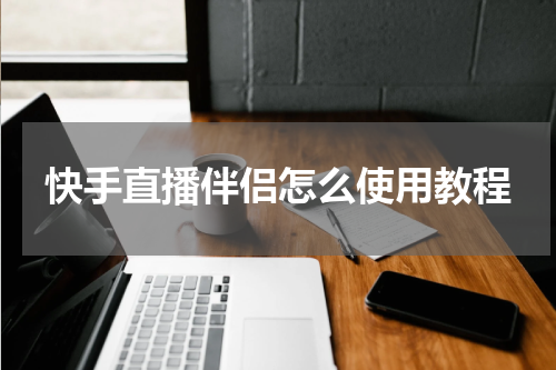 快手直播伴侣怎么使用教程