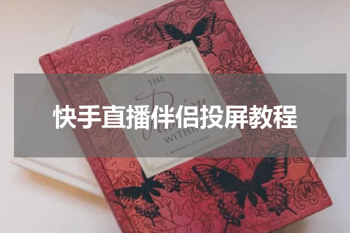 快手直播伴侣投屏教程