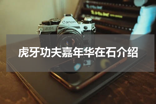虎牙功夫嘉年华在石介绍