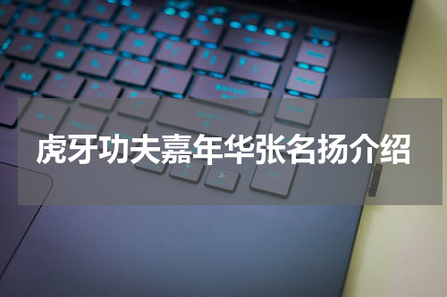 虎牙功夫嘉年华张名扬介绍