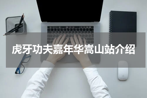 虎牙功夫嘉年华嵩山站介绍