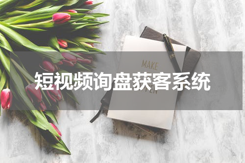 短视频询盘获客系统