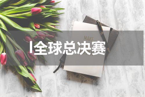 l全球总决赛