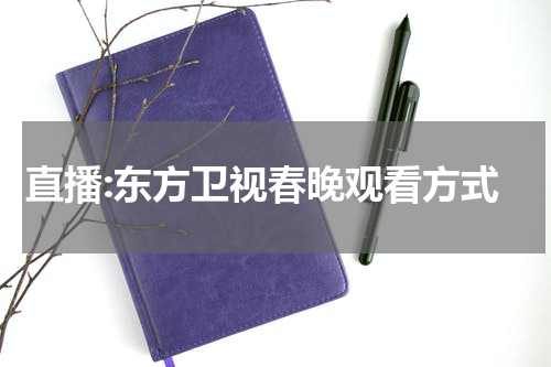 直播:东方卫视春晚观看方式