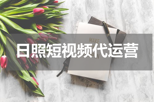 日照短视频代运营
