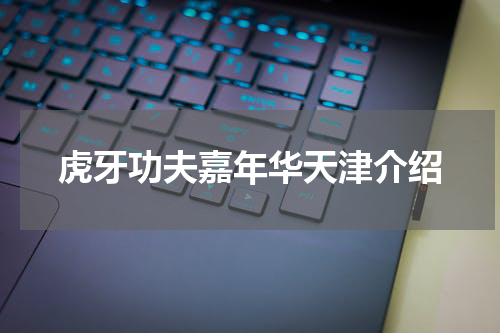 虎牙功夫嘉年华天津介绍