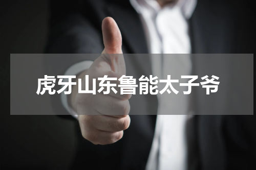 虎牙山东鲁能太子爷