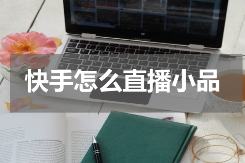 快手怎么直播小品