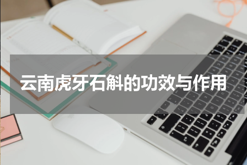 云南虎牙石斛的功效与作用