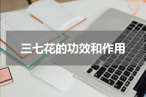 三七花的功效和作用