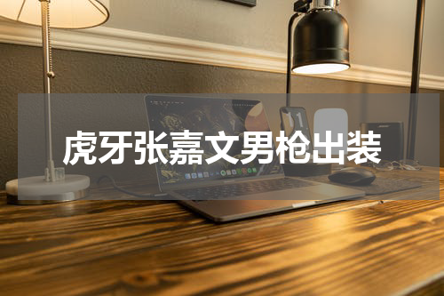 虎牙张嘉文男枪出装