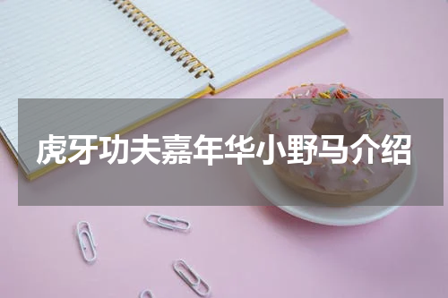 虎牙功夫嘉年华小野马介绍