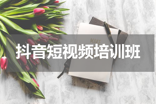抖音短视频培训班