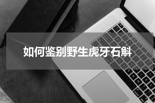 如何鉴别野生虎牙石斛