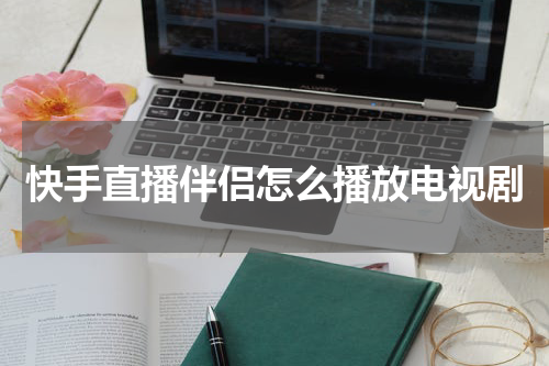 快手直播伴侣怎么播放电视剧