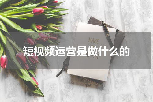 短视频运营是做什么的