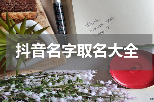 抖音名字取名大全