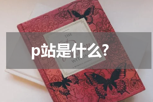 p站是什么?