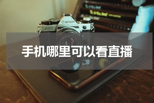 手机哪里可以看直播