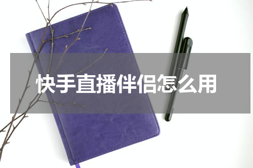 快手直播伴侣怎么用