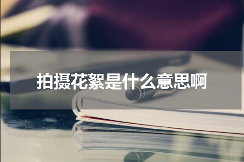 拍摄花絮是什么意思啊