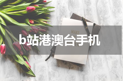 b站港澳台手机
