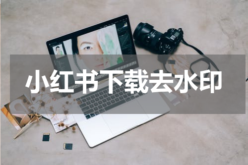 小红书下载去水印